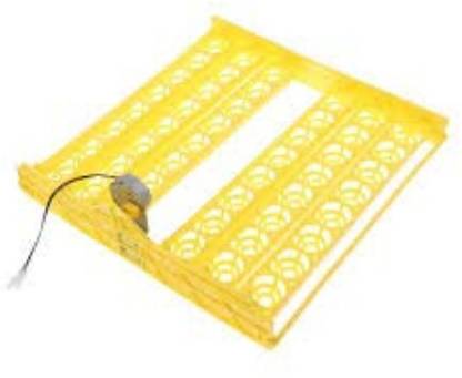 TM&W ASD_1 Egg Incubator