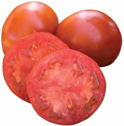 ActrovaX Sweet Seedless Tomato [4000 Seeds] Seed