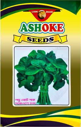 Lion Brand Spinach - Padma Note Shak ( Pack of 1000 Seeds ) Seed
