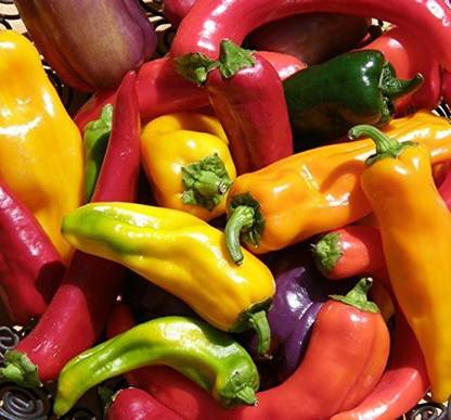 DROXTY ™ XX-668-Hot Pepper Seed Combo Seed