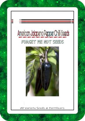 ActrovaX American Jalapeno Pepper Chilli High Quality Hybrid [10gm Seeds] Seed