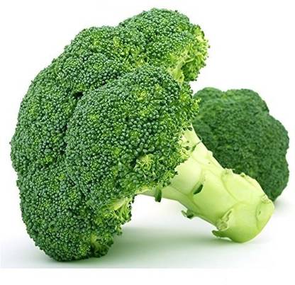 DROXTY ® XXL-198-Germination 100% Organic Broccoli F1 Hybrid Seeds Seed