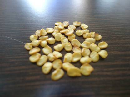 VibeX XX-409-High Yield Green long Variety Hybrid Chilli Pepper Seed