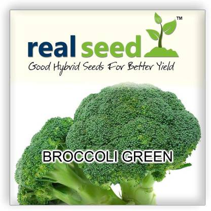 CRGO BROCCOLI Seed