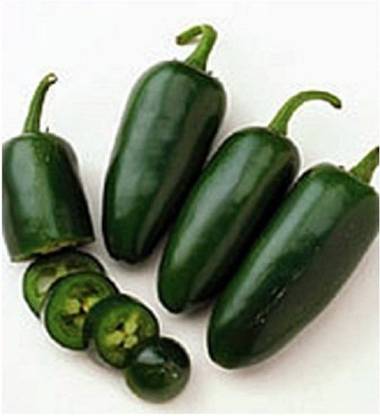 VibeX ® XX-41-Pepper, Chilli Jalapeno Pickled Chilli Seeds Seed