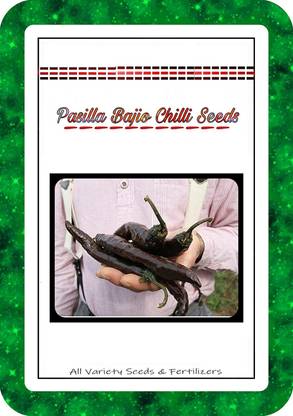ActrovaX Pasilla Bajio Black Chilli Pepper High Quality Hybrid [5gm Seeds] Seed