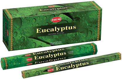 Hem Eucalyptus Incense Sticks (25.5 cm x 9.3 cm x 6 cm, Black) Eucalyptus