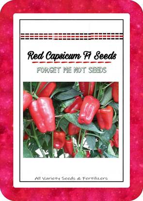 VibeX XX-1240-Red Capsicum Pepper Seeds High Quality Hybrid Variety Seed