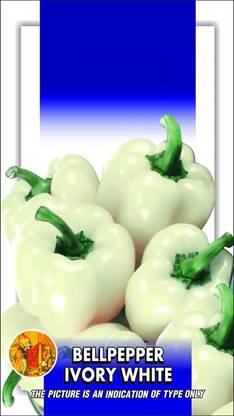 CRGO CAPSICUM , SHIMLA MIRCH Seed