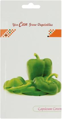 VibeX ® XX-34-Hybrid Capsicum Seeds Seed