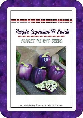 CRGO CAPSICUM , SHIMLA MIRCH Seed