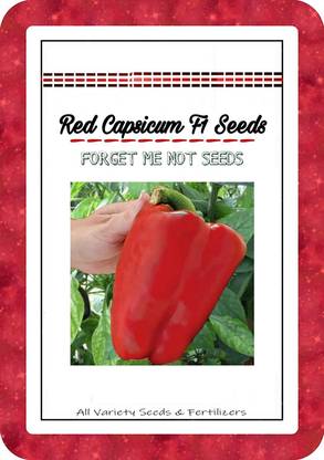VibeX XX-1213-Red Capsicum Pepper Seeds High Quality Hybrid Variety Seed