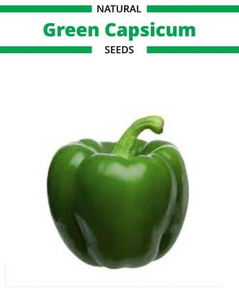 CRGO CAPSICUM , SHIMLA MIRCH Seed
