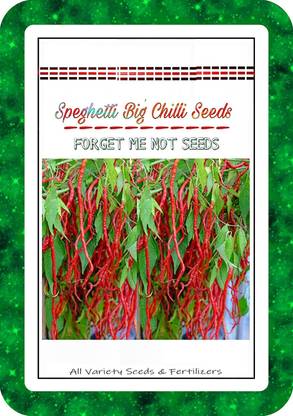 ActrovaX Speghetti Big Chilli High Quality Hybrid Variety Seed