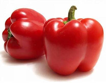DIOART ® XX-812-Capsicum Seeds - Red Colour Seed