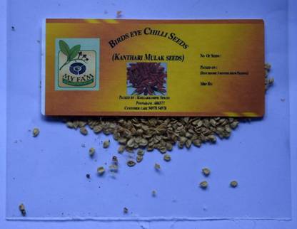 VibeX ™ XX-1170-Chilly Kanthari Milaga Tiny chillies seeds from Kerala Seed