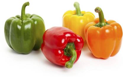 VibeX XX-160-Capsicum F1 Hybrid Outdoor Plant Seed Seed