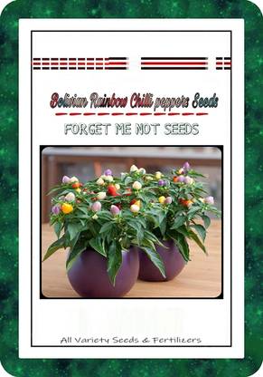 VibeX ® XX-1529-
Bolivian Rainbow Chilli Pepper Seeds High Quality Hybrid Seed