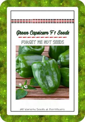 CRGO CAPSICUM , SHIMLA MIRCH Seed