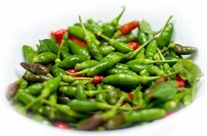 Biosnyg Bird Eye Chilli - Kanthari Mulaku, Thai Pepper, Tiny Chilli 50gm Seeds Seed
