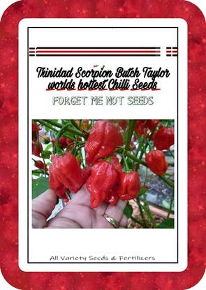 VibeX Trinidad Scorpion ' Butch T ' Pepper Chilli Seeds High Quality Hybrid Seed