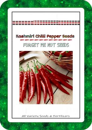 Qualtivate ™ Hybrid Variety Kashmiri Chilli Pepper Seeds Seed