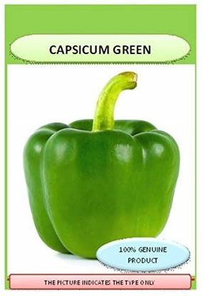 CRGO CAPSICUM , SHIMLA MIRCH Seed