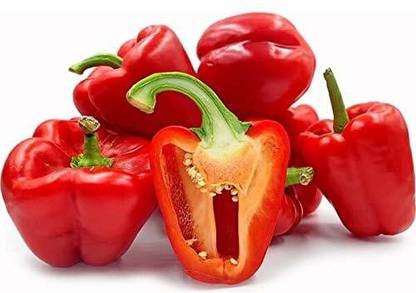 VibeX XX-1065-RED CAPSICUM SEEDS Seed