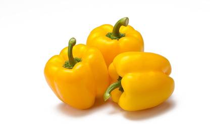 VibeX XX-778-Capsicum Hybrid F1 Seeds Seed