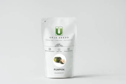 URJA SEEDS Pumpkin Amrit Seed