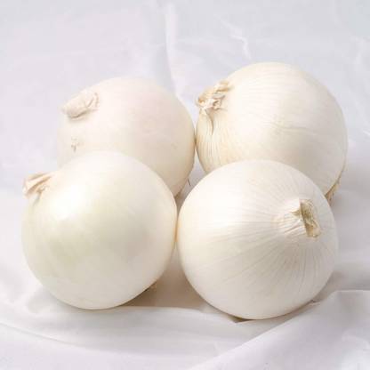 VibeX ® XL-211-Hybrid White Onion Seeds-25 x Seeds Seed