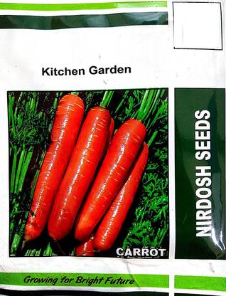 VibeX ® XL-401-KITCHEN GARDEN carrot Seeds-25 x Seeds Seed