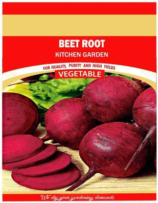 VibeX ® XL-361-Dark Red Beetroot Seeds-25 x Seeds Seed