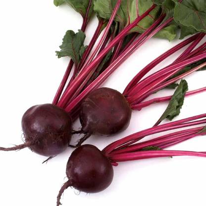 VibeX ™ XL-164-Vegetable Seeds Mangel Seeds - Beet Root -120 x Seeds Seed