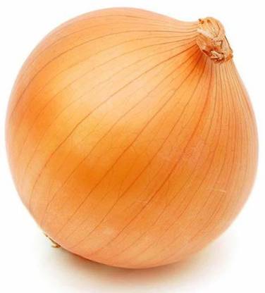 VibeX Onion Seeds Seed