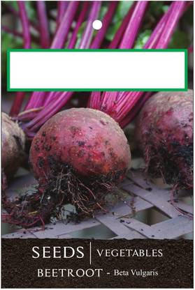 VibeX ® XL-121-Pure - High Yield Organic Vegetable Seeds - Beet Root-25 x Seeds Seed