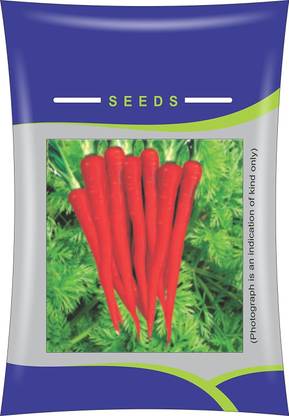 VibeX XL-67-Carrot Desi Red Seed-200 x Seeds Seed