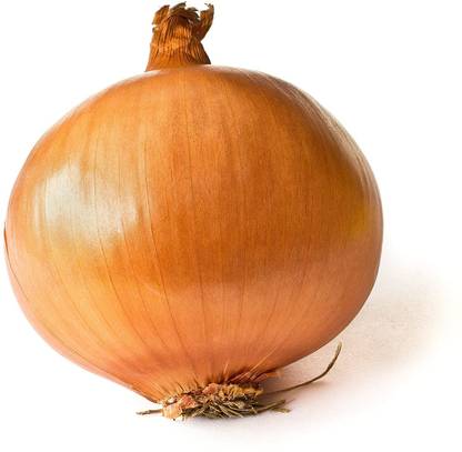 VibeX ® XL-1045-ONION IMPROVED GAVRAN VARIETY-150 x Seeds Seed