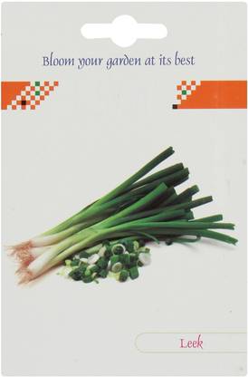 VibeX ® XL-331-Dwarf Chinese Spring Onion Seeds-25 x Seeds Seed
