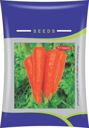 VibeX XL-220-SEEDS F1 Hybrid Carrot Prestige Seeds-1000 x Seeds Seed