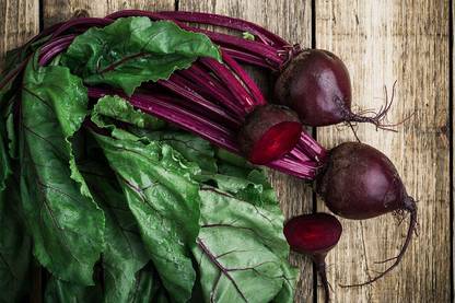 VibeX ® XL-111-High Yield Organic Vegetable Seeds - Beet Root-20 x Seeds Seed