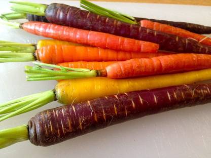 VibeX ® XL-471-Garden Seeds Carrot Rainbow Blend Open Pollinated Seeds-30 x Seeds Seed
