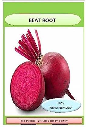 VibeX ® XL-211-Pack Of Beet Root F1 Red Grand Seeds-25 x Seeds Seed