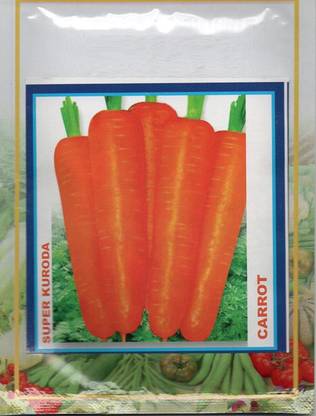 VibeX ® XL-323-Carrot seeds Super kuroda-60 x Seeds Seed