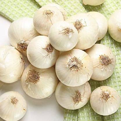 VibeX Onion Seed
