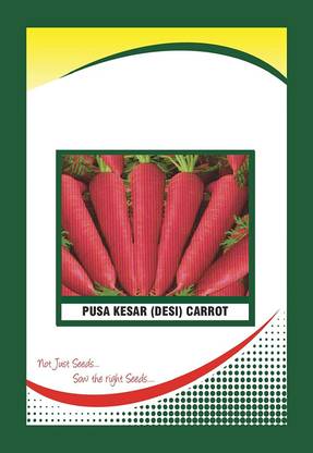 VibeX ® XL-361-Carrot Pusa Kesar Seeds-25 x Seeds Seed