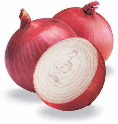 VibeX ® XL-611-Onion Seeds Heirloom Veg Seeds-25 x Seeds Seed