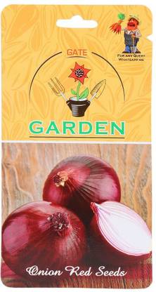 WILLVINE GBPUT-1045 Onion Red Seeds-1500 Seeds Seed