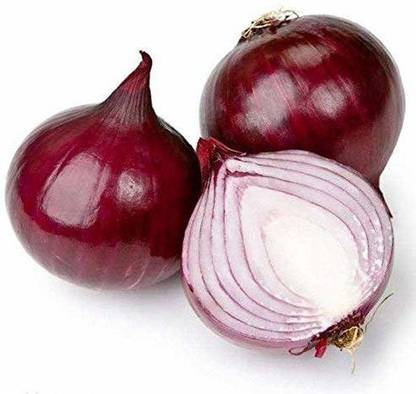 VibeX Onion Seed