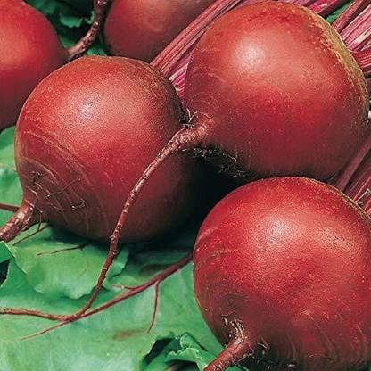 VibeX ™ XL-398-Beet Root Crimson Vegetable Seeds-250 x Seeds Seed